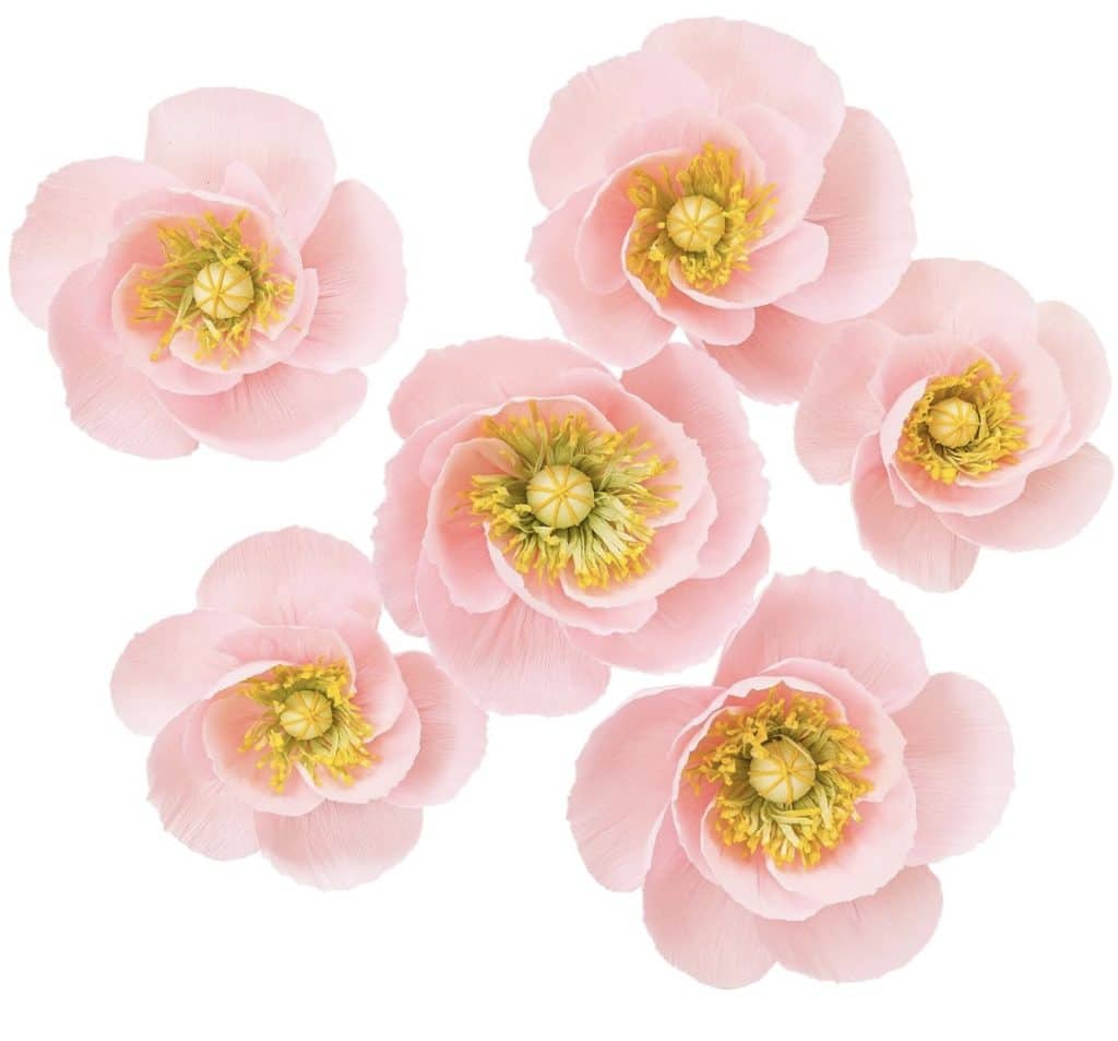 Six light pink flowers with delicate, layered petals are artfully spread out on a white background, resembling easy flower paper crafts. The centers of the flowers are detailed with yellow and green stamen.